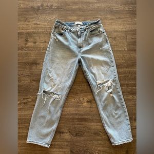 Abercrombie & Fitch High Rise Mom Jeans Curve Love